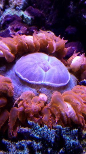 2016-11-02 22.40.04.jpg