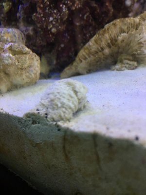 IMG_5553.jpg