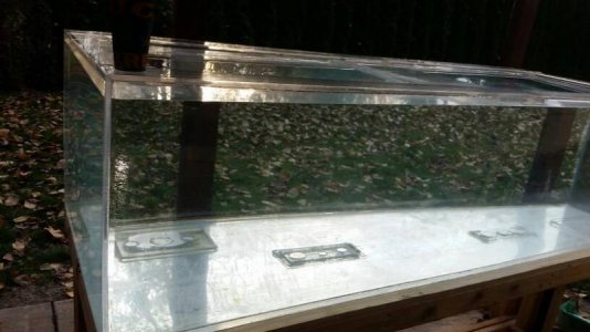 375g on deck.jpg