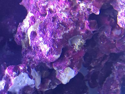 IMG_0613.jpg