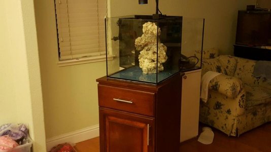 2016050195202555.jpg