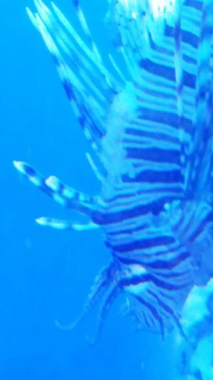 20160927_142441 (2).jpg