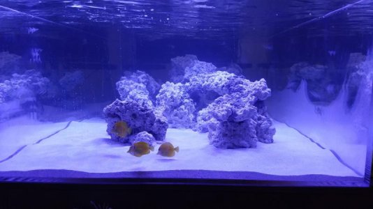 20161105_201525.jpg