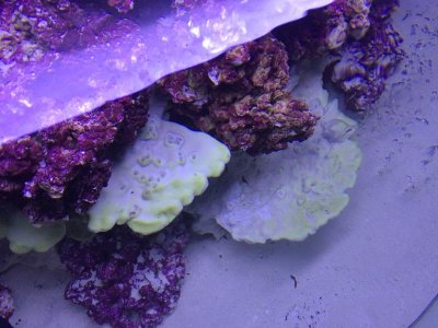 IMG_5693.jpg