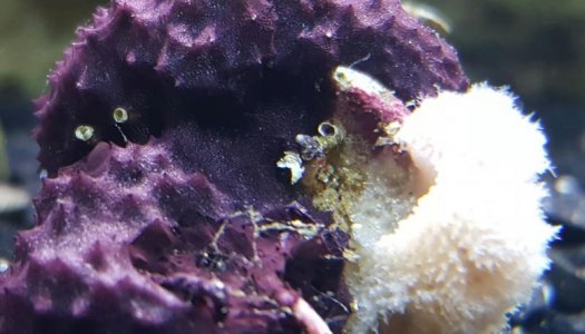 20161002_000146.jpg