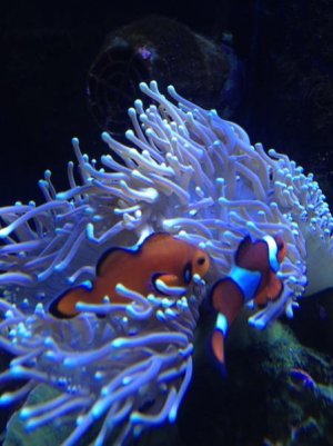 IMG_3482 copy.jpg