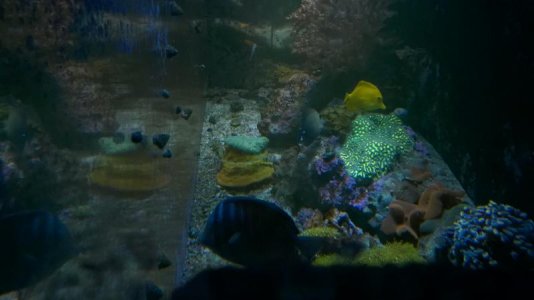 WP_20161109_001.jpg