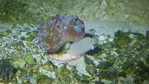 20161111_000719_zps9gvucezv.jpg