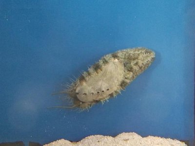 20161112_090429-1.jpg