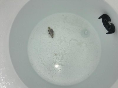 IMG_6865.jpg IMG_6865.jpg