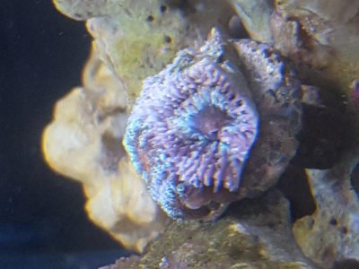 20161112_122237.jpg