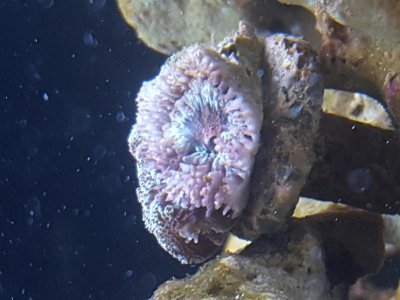 20161112_131725.jpg