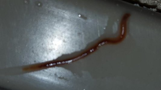 20161003_183040.jpg