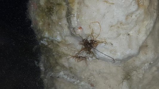20161003_183333.jpg