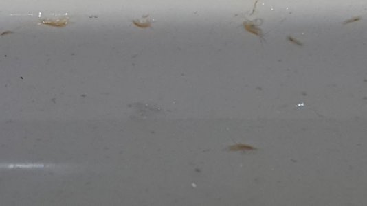 20161003_204615.jpg