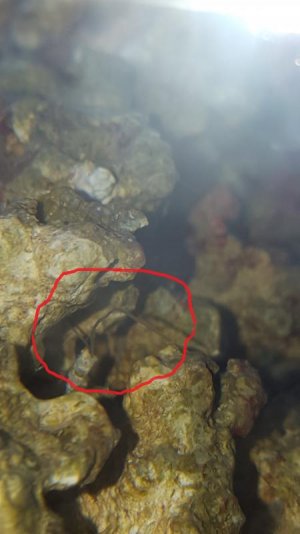 20161003_183942.jpg