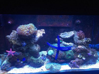 Current Tank.jpg