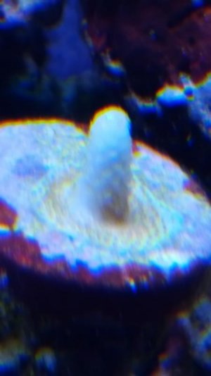 Screenshot_20161004-142745.jpg
