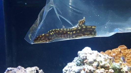 20161028_170339.jpg