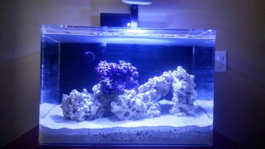 Nano3.jpg