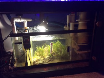 sump.JPG
