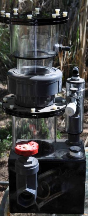 Skimmer-1.jpg