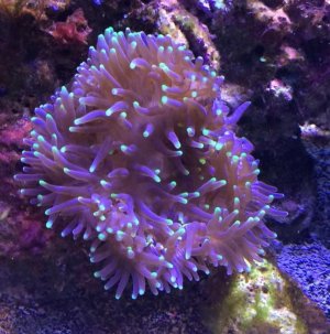 29September 2016 import 022.jpg