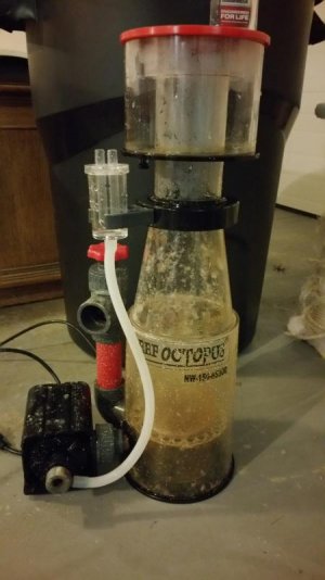 2016-10-09 12.46.10.jpg