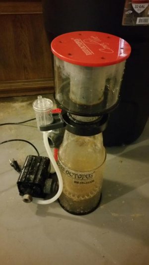 2016-10-09 12.46.29.jpg