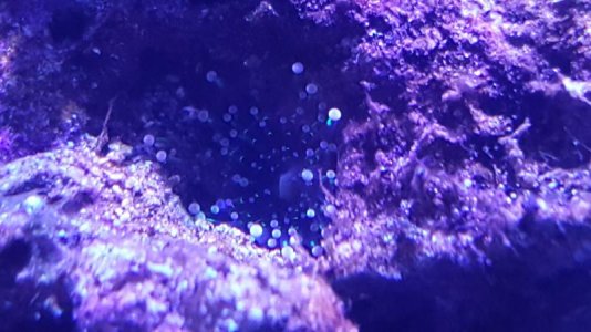 20161116_073633.jpg