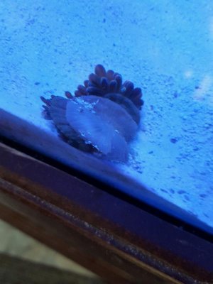 20161117_133300 (2).jpg