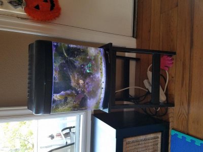 20161009_170914.jpg