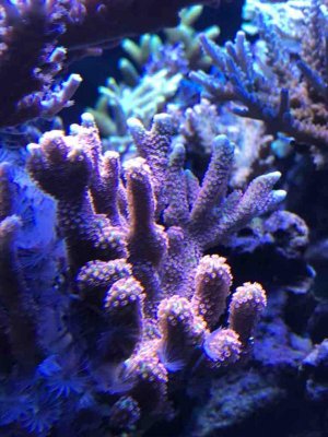IMG_2224.jpg