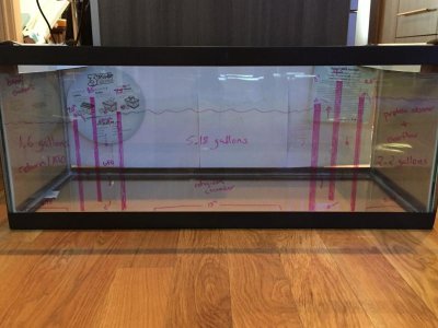 IMG_0407.jpg IMG_0407.jpg