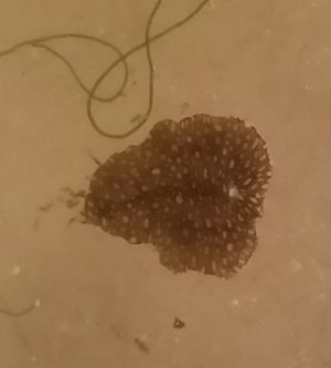slug.jpg