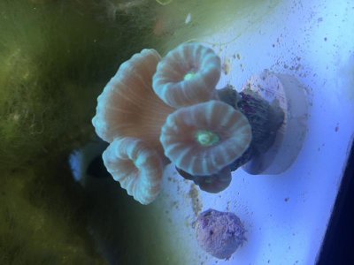 IMG_5014.jpg