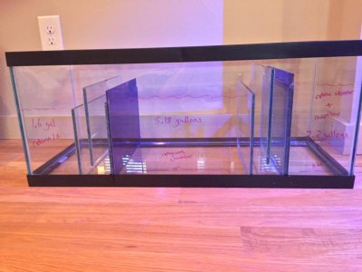 IMG_0420.jpg IMG_0420.jpg