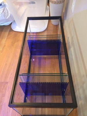 IMG_0421.jpg IMG_0421.jpg