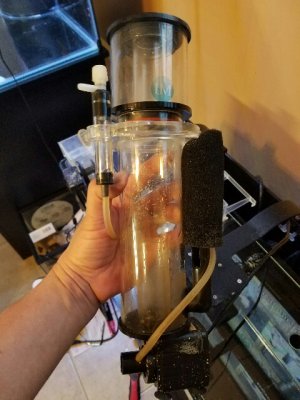 20161012_204242-480x640.jpg 20161012_204242-480x640.jpg