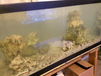 IMG_4695.jpg IMG_4695.jpg