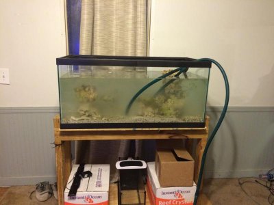 IMG_4692.jpg IMG_4692.jpg