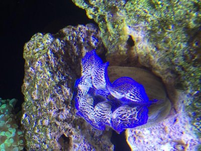IMG_4100.jpg
