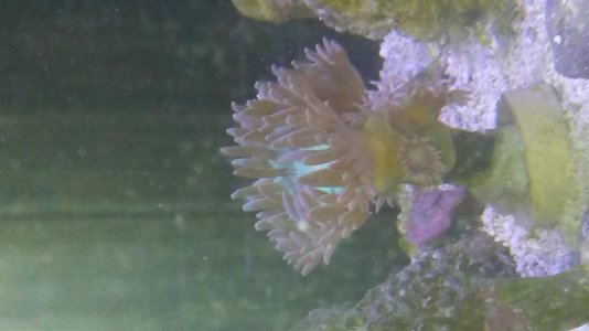 20161121_130111.jpg