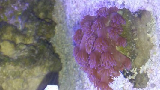 20161121_130148.jpg