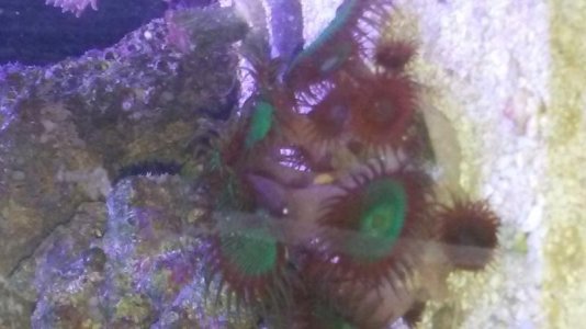 20161121_130124.jpg