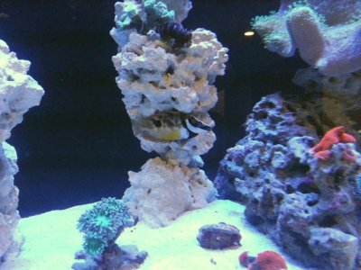 2016-10-12 22.31.23.jpg