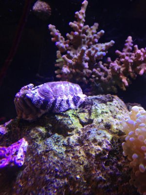 IMG_2810.jpg