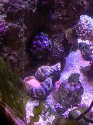 IMG_2814.jpg