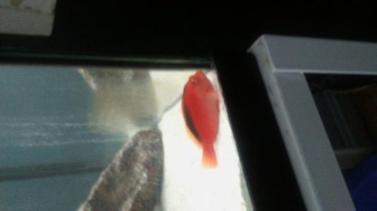 20160922_102207 (1).jpg