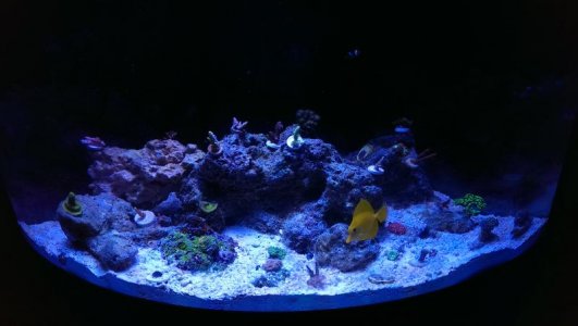 IMAG0663.jpg